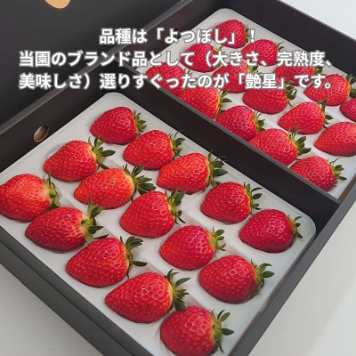 艶星(イチゴ)約700g～約800g「甘味、酸味、風味、旨味」四つ星級に美味!採れたてをお届けします