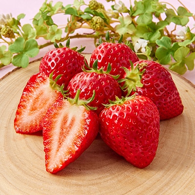 艶星(イチゴ)約700g～約800g「甘味、酸味、風味、旨味」四つ星級に美味!採れたてをお届けします