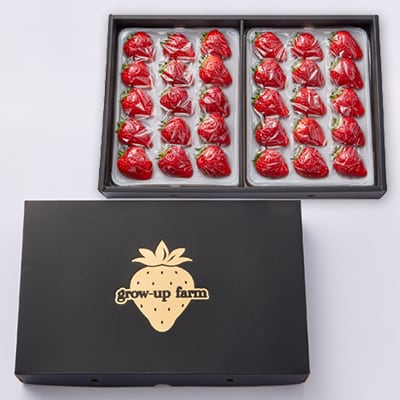 艶星(イチゴ)約700g～約800g「甘味、酸味、風味、旨味」四つ星級に美味!採れたてをお届けします