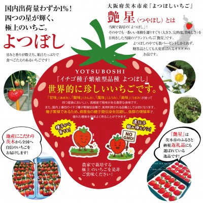 艶星(イチゴ)約350g～約400g「甘味、酸味、風味、旨味」四つ星級に美味!採れたてをお届けします