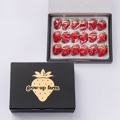 艶星(イチゴ)約350g～約400g「甘味、酸味、風味、旨味」四つ星級に美味!採れたてをお届けします