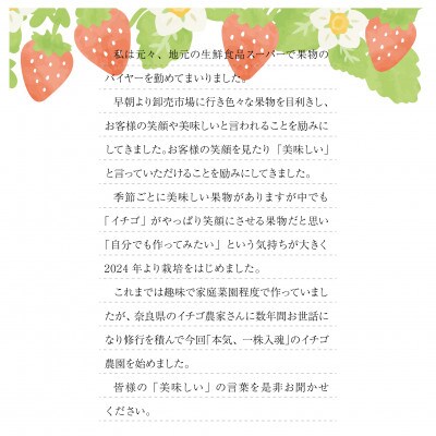 艶星(イチゴ)約350g～約400g「甘味、酸味、風味、旨味」四つ星級に美味!採れたてをお届けします