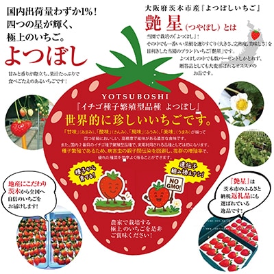 艶星(イチゴ)約350g～約400g「甘味、酸味、風味、旨味」四つ星級に美味!採れたてをお届けします