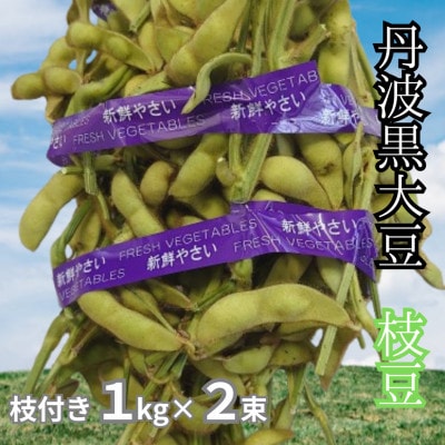 丹波黒大豆　枝付き枝豆1kg×2束　コクと甘味そしてもっちりした食感をお試しください