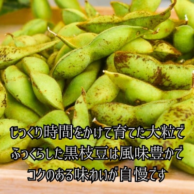 丹波黒大豆　枝付き枝豆1kg×2束　コクと甘味そしてもっちりした食感をお試しください