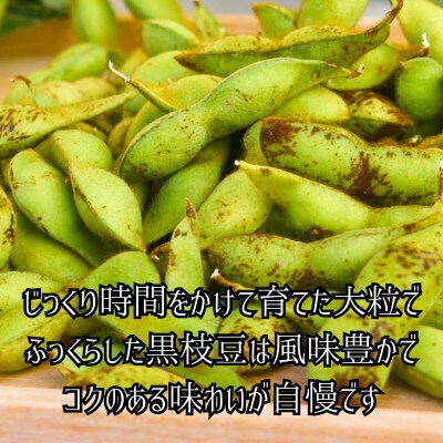 丹波黒大豆　枝付き枝豆400g×5束　コクと甘味そしてもっちりした食感をお試しください。