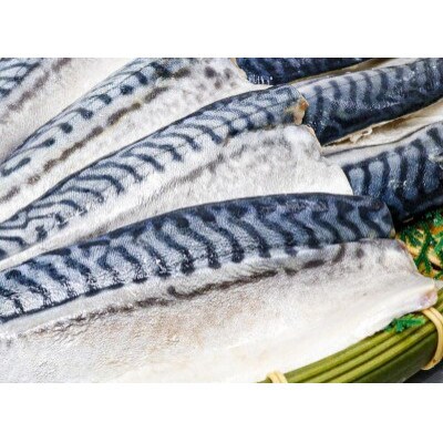 【骨取り】無添加トロさばフィーレ 無塩 5切(約550g)