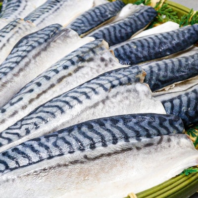 【骨取り】無添加トロさばフィーレ 無塩 5切(約550g)