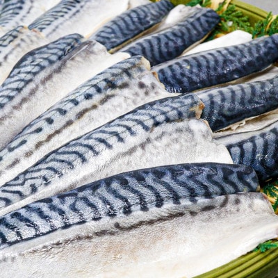 【骨取り】無添加トロさばフィーレ 無塩 15切(約1.6kg)