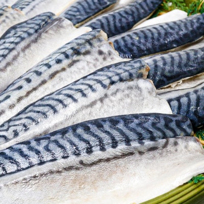 【骨取り】無添加トロさばフィーレ 無塩 20切(約2.2kg)