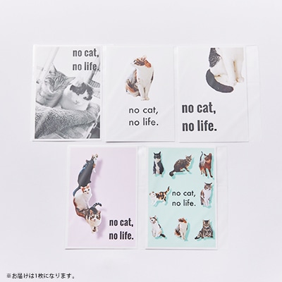 保護猫へのご支援のためのお礼品【保護猫ルームえびす】手作りトートバッグとポストカードセット