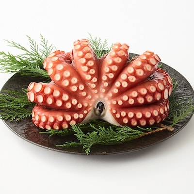 塩もみタコ