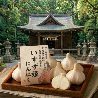 【訳あり】純国産 北摂茨木にんにく 1kg