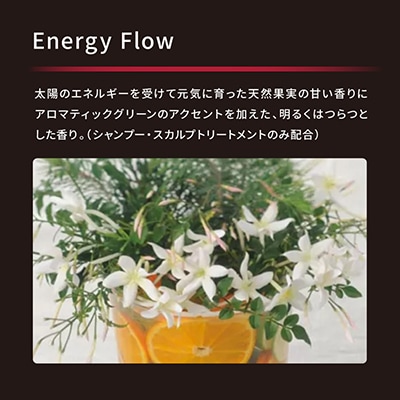 アデノバイタル シャンプー 1000mL　2個