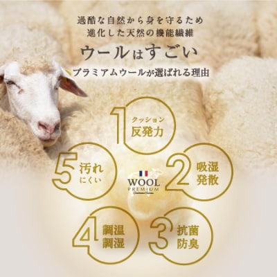 羊毛混 布団セット シングルロング (アイボリー色) フランス産プレミアムウール使用