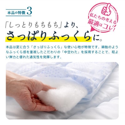 肌掛け布団 TCガーゼ(夏雲ll) シングル 《2枚組》(ブルー系)