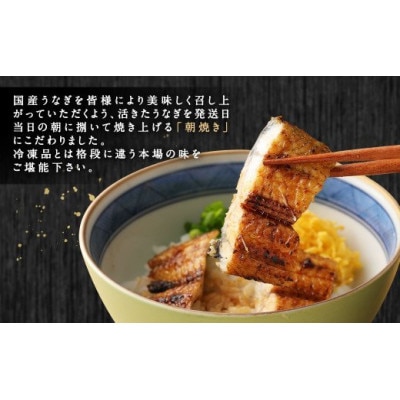 朝焼きうなぎ 4尾入 約150g×4 合計約600g タレ・山椒各6袋