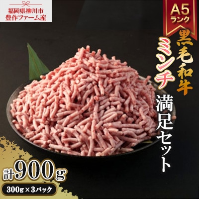 豊作ファーム産 黒毛和牛ミンチ 満足セット 900g