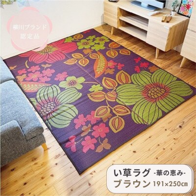 い草 ラグ  華の恵みふっくら仕上げ《ブラウン》　191cm×250cm