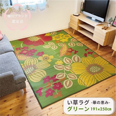 い草 ラグ 華の恵みふっくら仕上げ《グリーン》　191cm×250cm