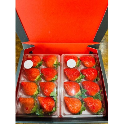 あまおうギフトBOX(DX8粒×2パック)