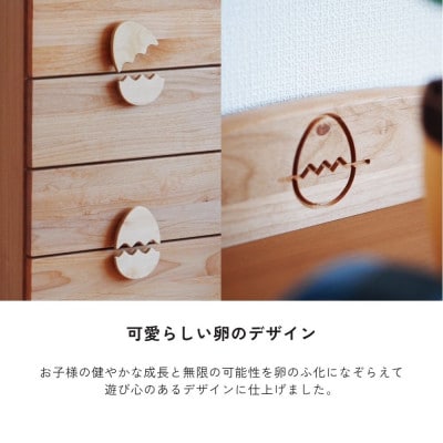 エッグ45-4ローチェスト(柳川市)