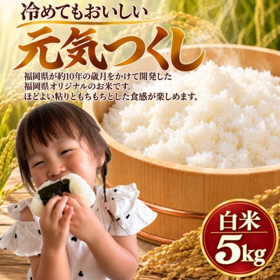 【令和8年産】元気つくし 白米 5kg