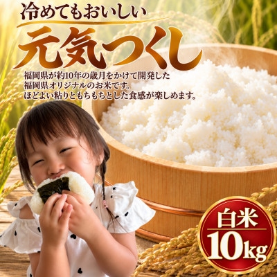 【令和8年産】元気つくし 白米 10kg