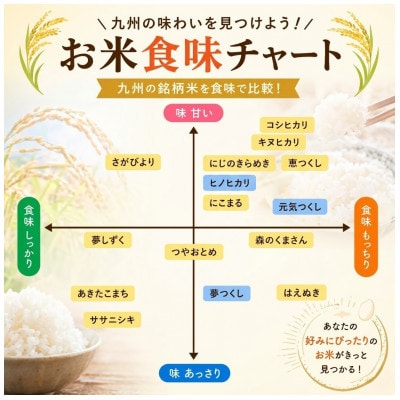 【令和8年産】元気つくし 白米 10kg