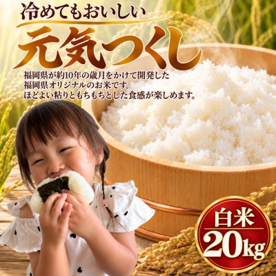 【令和8年産】元気つくし 白米 20kg