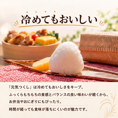 【令和8年産】元気つくし 白米 20kg