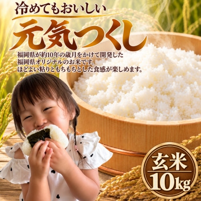 【令和8年産】元気つくし 玄米 10kg