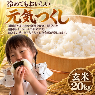 【令和8年産】元気つくし 玄米 20kg