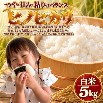 【令和8年産】ヒノヒカリ 白米 5kg