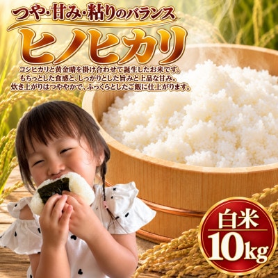 【令和8年産】ヒノヒカリ 白米 10kg