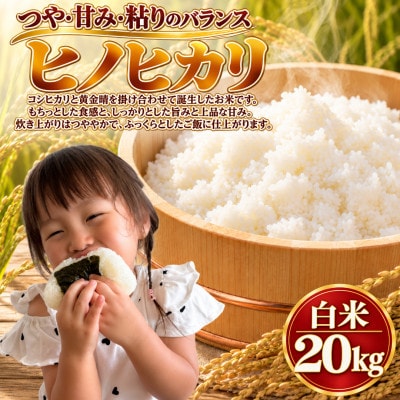 【令和8年産】ヒノヒカリ 白米 20kg