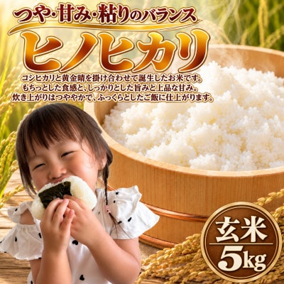 【令和8年産】ヒノヒカリ 玄米 5kg