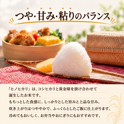 【令和8年産】ヒノヒカリ 玄米 10kg