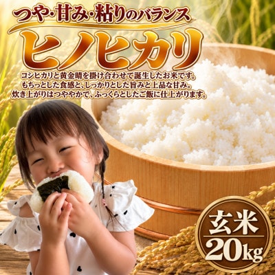 【令和8年産】ヒノヒカリ 玄米 20kg