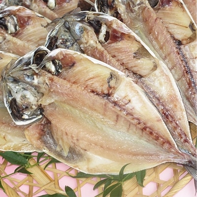 伊豆の味　かねた水産自慢の真あじの干物　10枚