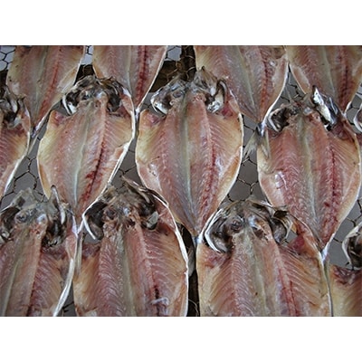 伊豆直送定番干物詰め合わせ あじ7尾、エボ鯛5尾、イカ一夜干2尾(A3)