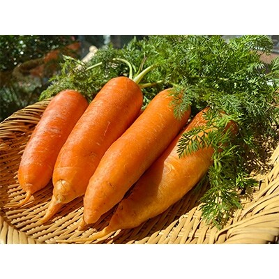 100%にんじんジュース(大3本入り)