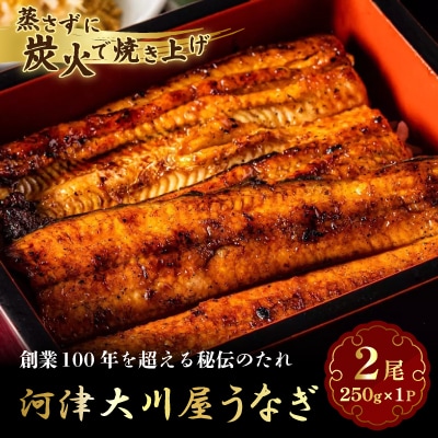河津大川屋うなぎ　炭火直焼き2尾セット