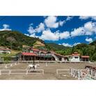 天城ホースビレッジ　レッスン乗馬45分利用券(1名)