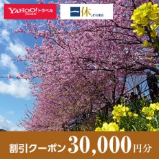 【静岡県河津町】一休.com・Yahoo!トラベル割引クーポン(30,000円分)