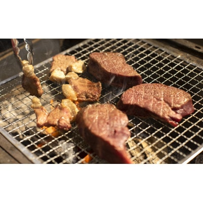 【伊豆産イノシシ肉】イノシシ肉希少部位セット(700g)