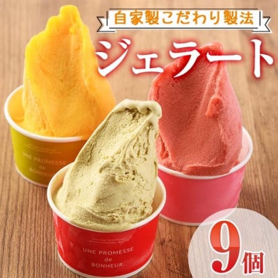 【自家製こだわり製法】自家製ジェラート(9個)