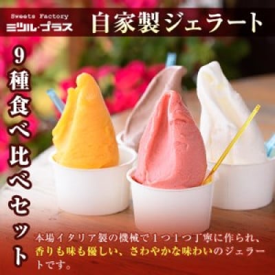 【自家製こだわり製法】自家製ジェラート(9個)