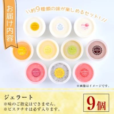 【自家製こだわり製法】自家製ジェラート(9個)