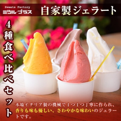 バスクチーズケーキ・ジェラート 詰め合わせ